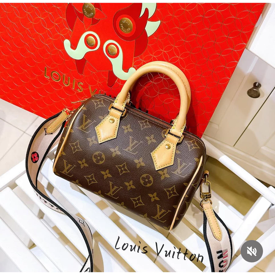 LOUIS VUITTON LV SPEEDY 20cm Boston Black Beige Strap Crossbody Bag