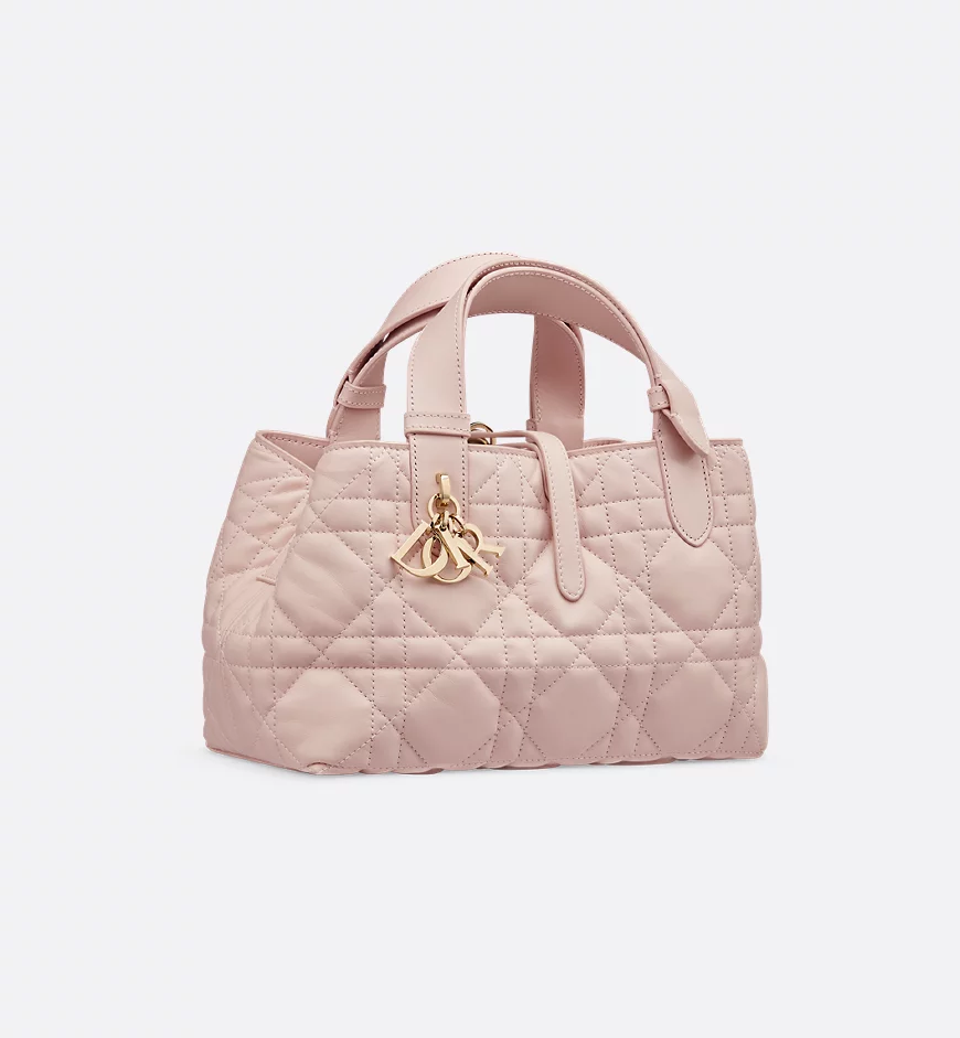 Small Dior Toujours bag