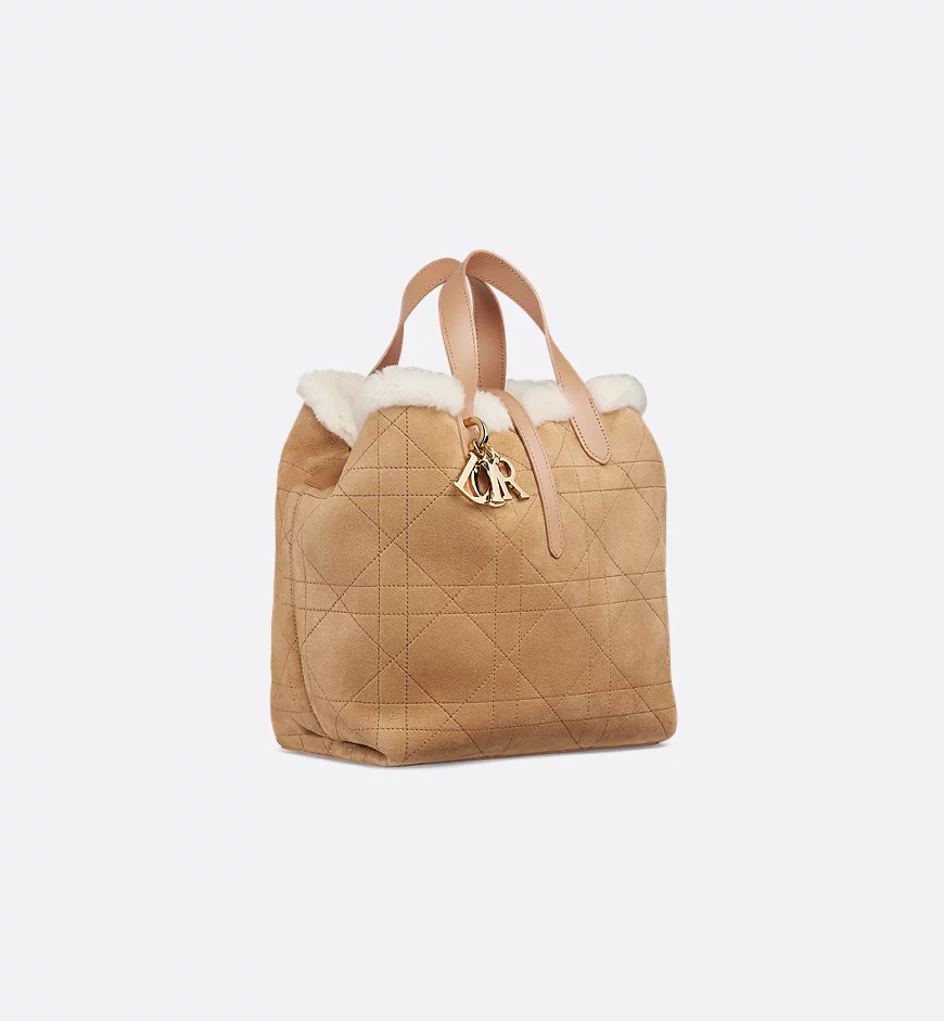 DiorAlps Medium Dior Toujours Vertical Handbag