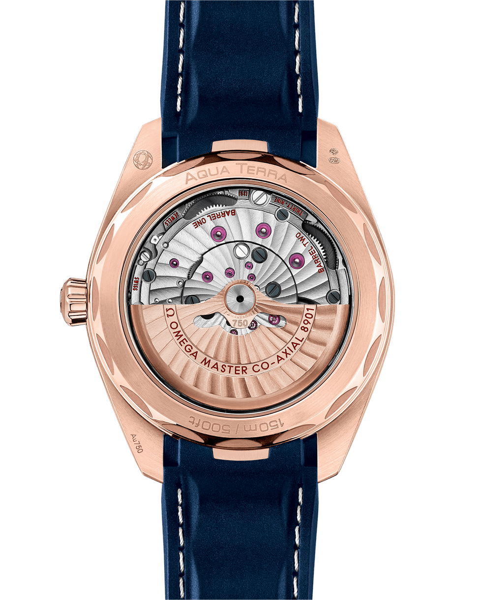 omega-seamaster-aqua-terra-150m-co-axial-master-chronometer-41-mm-22052412103001-portrait-1-01cf87