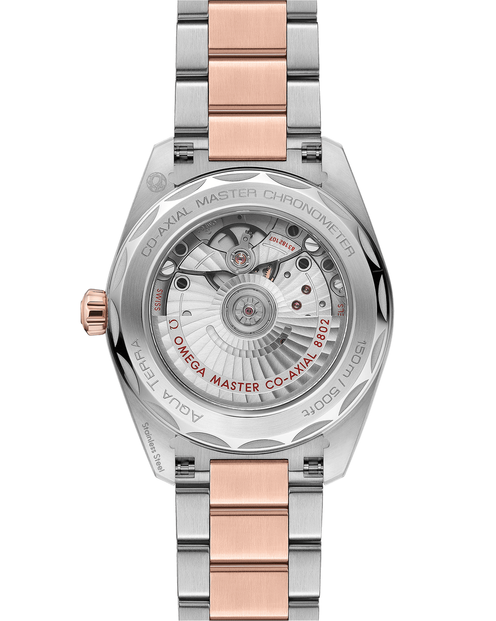 omega-seamaster-aqua-terra-150m-co-axial-master-chronometer-small-seconds-38-mm-22020382010001-portrait-1-4f4669