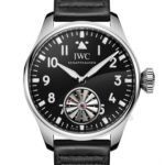 IWCIWC MARKUS BÜHLER